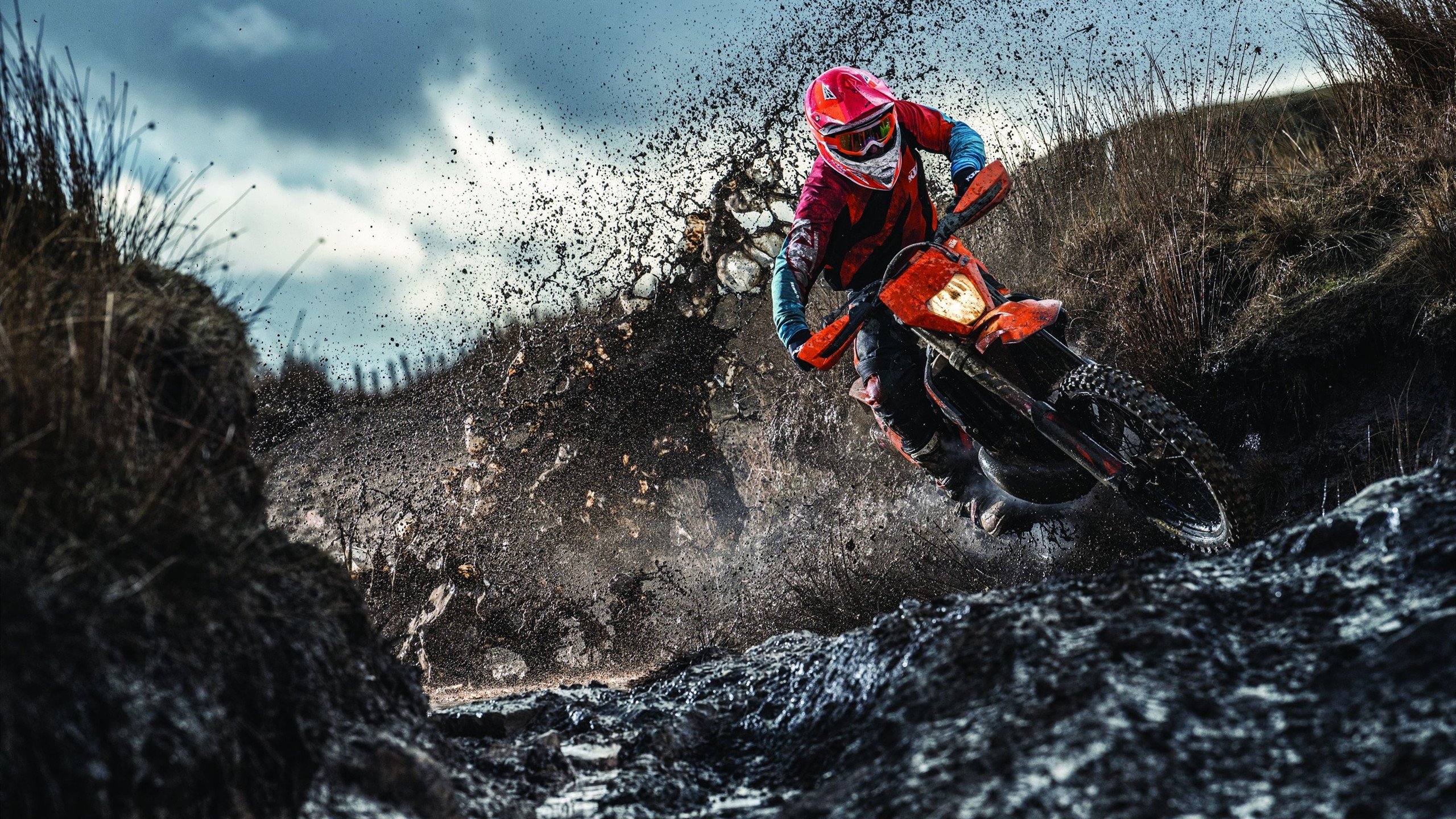 赛道上的宿命对决，哈斯鏖战雷诺，诺里斯一骑绝尘惊艳围场